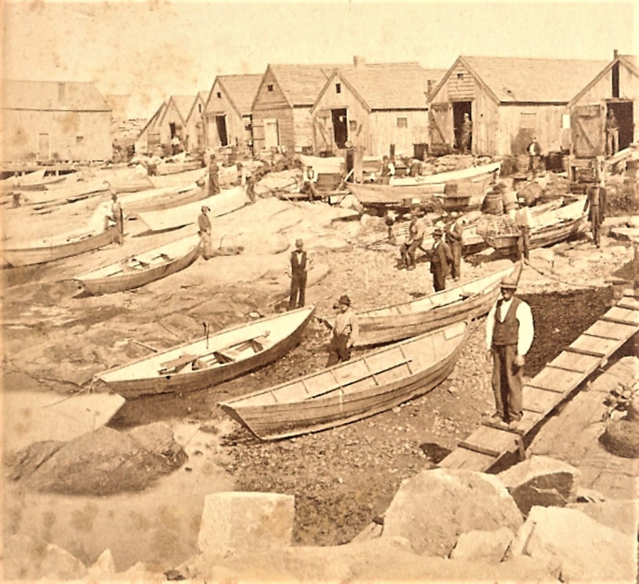 dory fisherman lanes cove